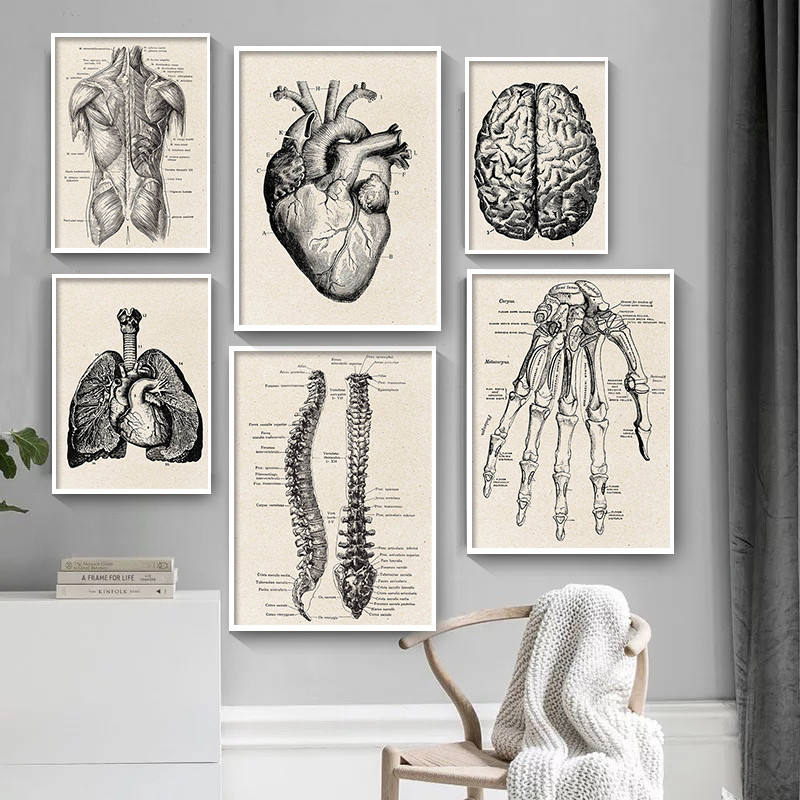 Medical Lab Posters - Pôster de arte em tela de