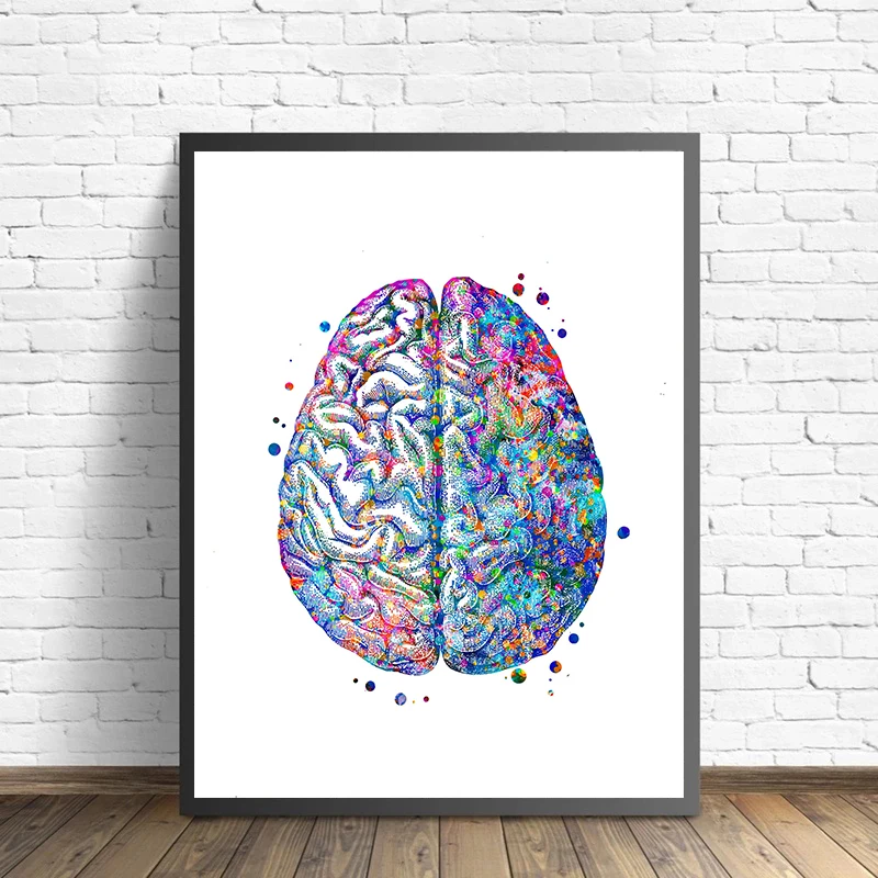 Anatomy Medical Poster Flower  - Medical Lab Posters avaliação e preço