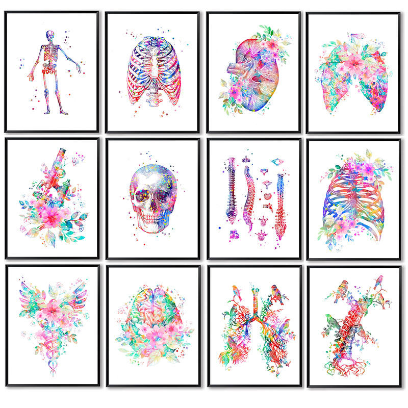 Pôster Médico de Anatomia: Art - Medical Lab Posters avaliação e preço