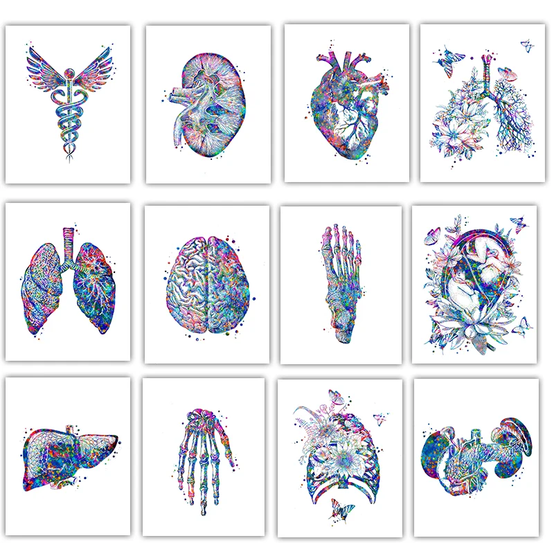 Pôster Médico de Anatomia: Art - Medical Lab Posters avaliação e preço