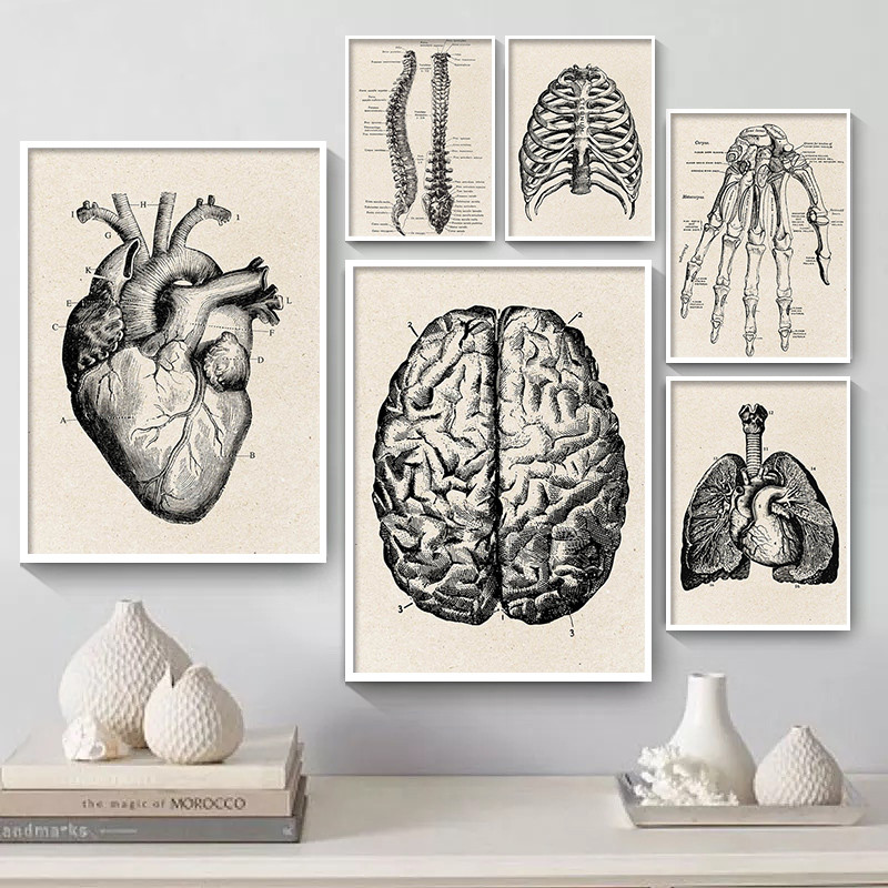 Pôster de arte em tela de anat - Medical Lab Posters avaliação e preço