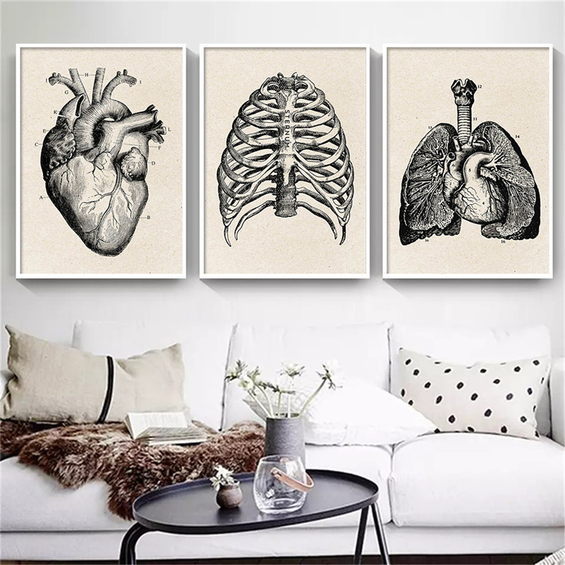 Pôster de arte em tela de anat - Medical Lab Posters avaliação e preço