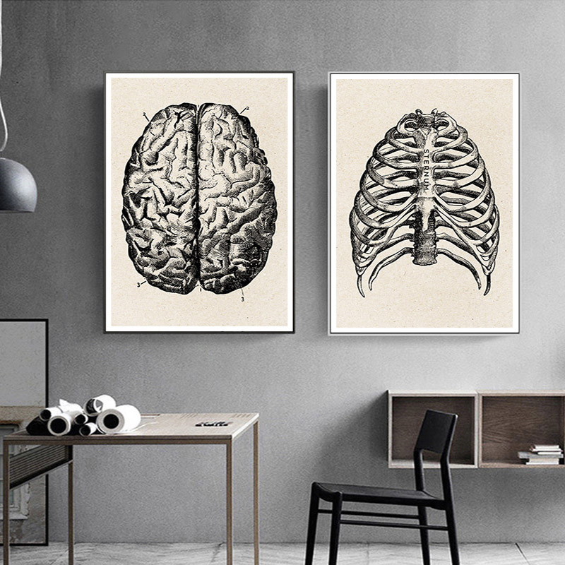 Pôster de arte em tela de anat - Medical Lab Posters avaliação e preço