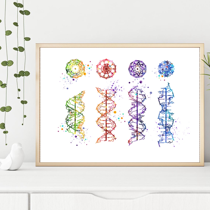Molécula de DNA impressão mode - Medical Lab Posters avaliação e preço